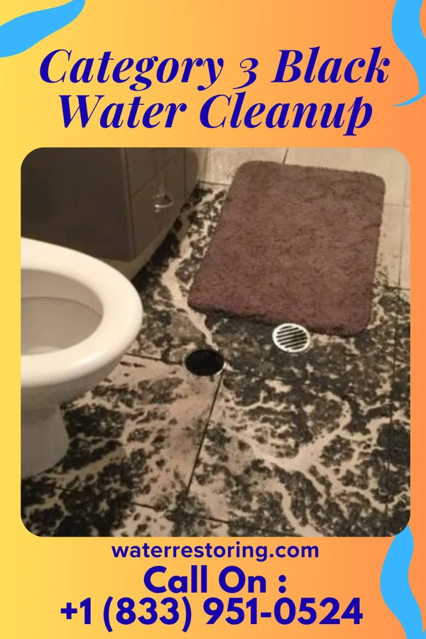 Category 3 Black Water Cleanup in East Grand Rapids, MI
