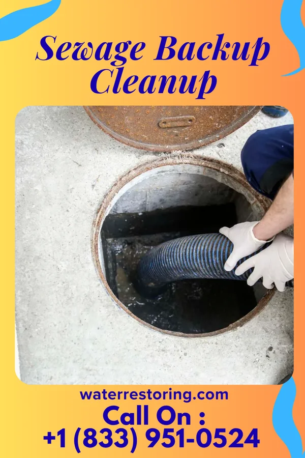 Sewage Backup Cleanup in East Grand Rapids, MI