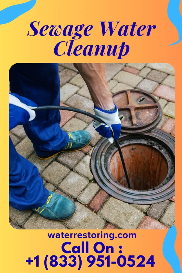 Sewage Water Cleanup in East Grand Rapids, MI