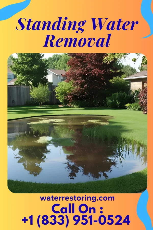 Standing Water Removal in East Grand Rapids, MI